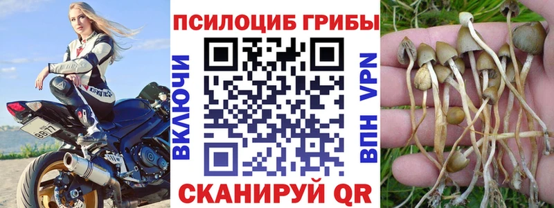 Галлюциногенные грибы GOLDEN TEACHER  MEGA ССЫЛКА  Судак 