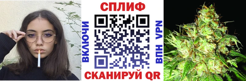 Бошки Шишки гибрид  Судак 